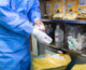 The Role of Medical Consumables in Infection Control